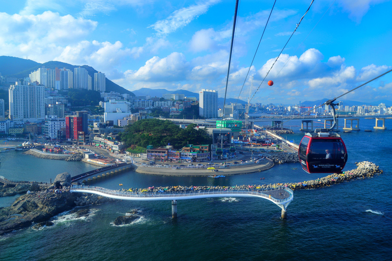 Busan Untold: War History, Hillside Villages & Songdo Cable Shared Group Tour, Depart from Busan Subway Station Exit 3