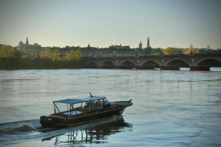 Bordeaux: Cruise on the Garonne with a meal