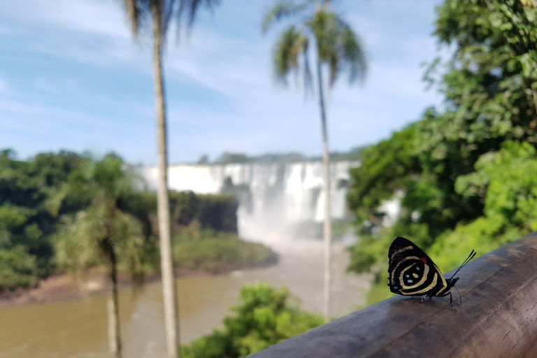 Odkrywanie wodospadów Iguazu w Argentynie