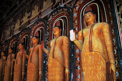 Sri Lanka: 4-day tour Ancient Ruins, Wildlife, Hill Country