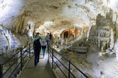 Zagreb: Private Tagestour Ljubljana, Höhle und Burg von Postojna