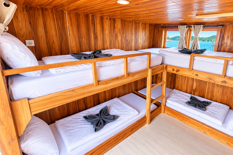 3D Komodo Sailing & Land Tour 12 Stops Single Bed & Hotel 3-Day Shared Cabin, Single Bed No Land Tour No Park Fee