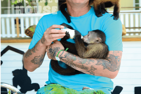 Monkey House VIP – Experiencia exclusiva en Punta Cana