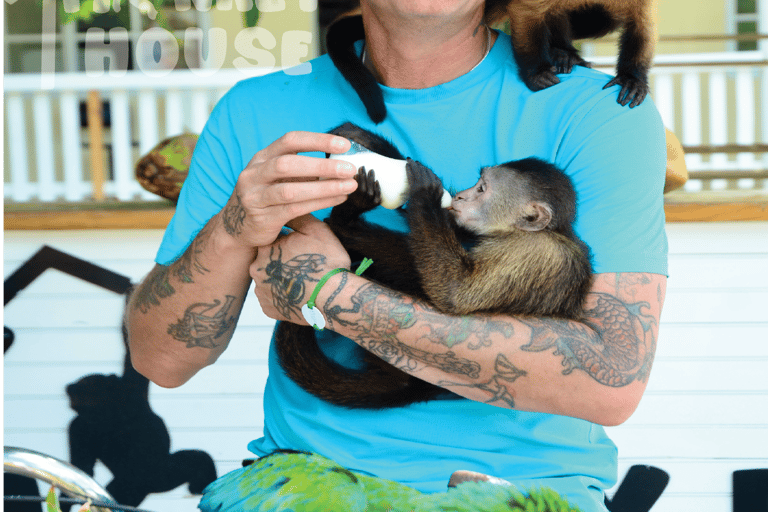 Monkey House VIP – Experiencia exclusiva en Punta Cana