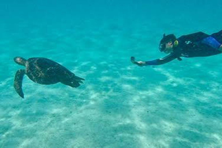 Santa Cruz: 4-Day Snorkel, Tintoreras, Pinzón & Fishing
