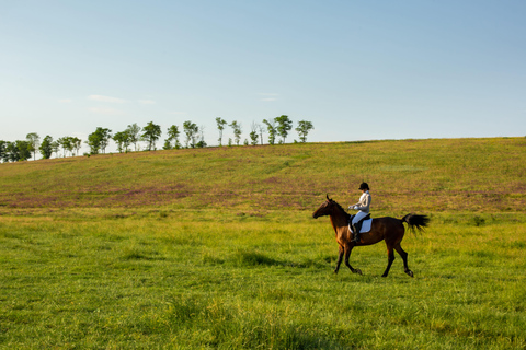 Montpellier: Private Sunset Horse Riding & Wine Tasting
