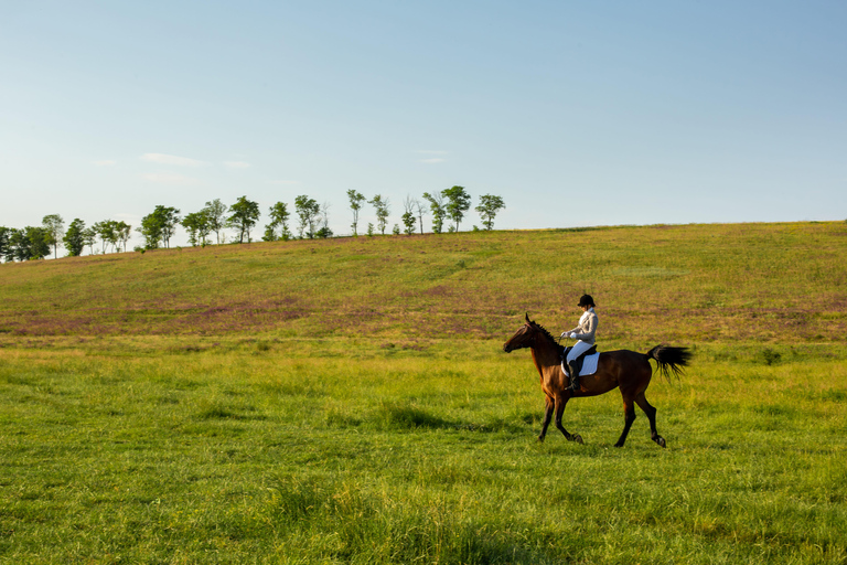 Montpellier: Private Sunset Horse Riding & Wine Tasting