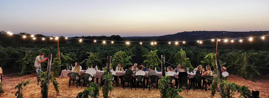 Pouilles : Dégustation de vins guidée avec des amuse-gueules locaux