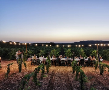 Apulia: Guided Wine Tasting with Local Appetizers