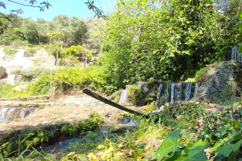 From Chania: Lake Kournas & Argiroupoli Springs Guided Tour