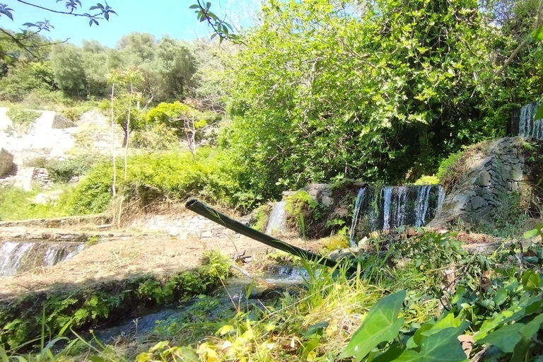 From Chania: Lake Kournas & Argiroupoli Springs Guided Tour