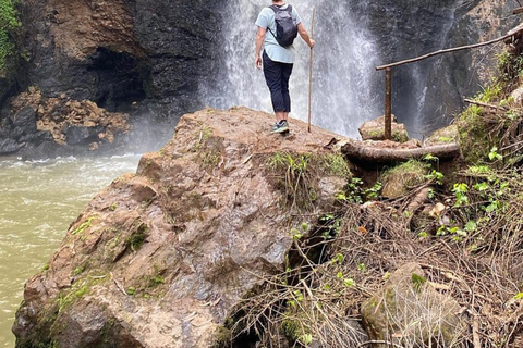 Nairobi: Purple Tea Farm Tour & Tasting Daytrip