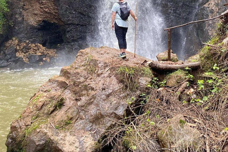 Nairobi: Purple Tea Farm Tour & Tasting Daytrip