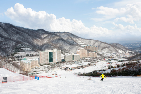 From Seoul: Vivaldi Park Ski World with Eobi Ice ValleyTransport Only - Meeting at Myeongdong