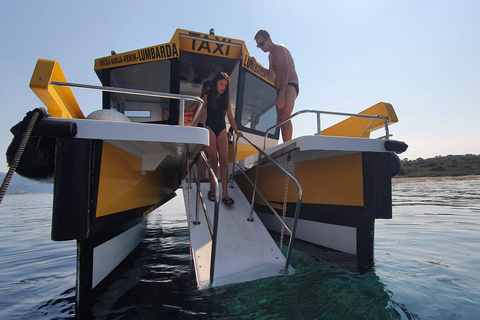 Korčula 3 ISLAND CATAMARAN TOUR Badija - Vrnik - Stupe