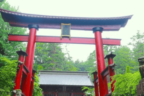 From Tokyo: Mount Fuji & Hakone Private Tour with Guide