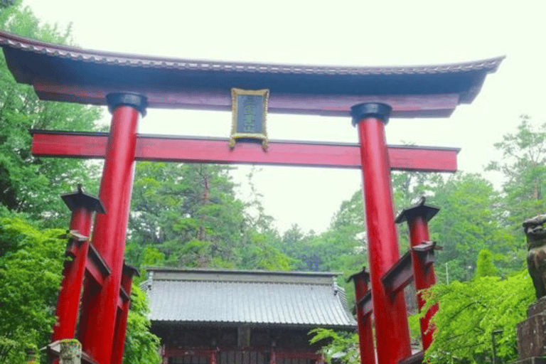 From Tokyo: Mount Fuji & Hakone Private Tour with Guide