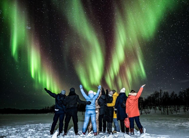 Visit Rovaniemi BBQ Picnic Experience under Northern Lights in Rovaniemi