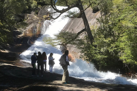Bariloche: Brazo Tristeza Boat Tour and Forest Hike