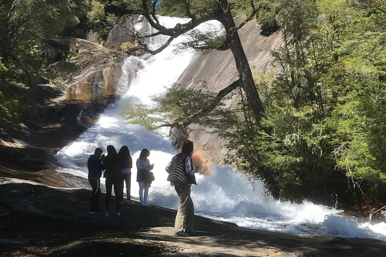 Bariloche: Brazo Tristeza Boat Tour and Forest Hike