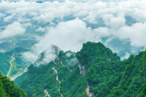 Zhangjiajie: Private Day Tour to Forest Park & Whip Stream Independent group of 1-5 people - English