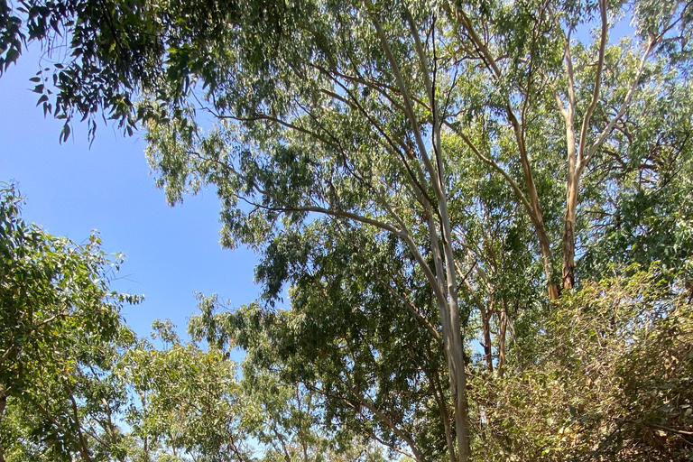 Santiago: Hike from Praia to Monte Tchota and Pico de Antónia Santiago: Beach to Monte Tchota – Pico Leão – Monte Tchota Hike