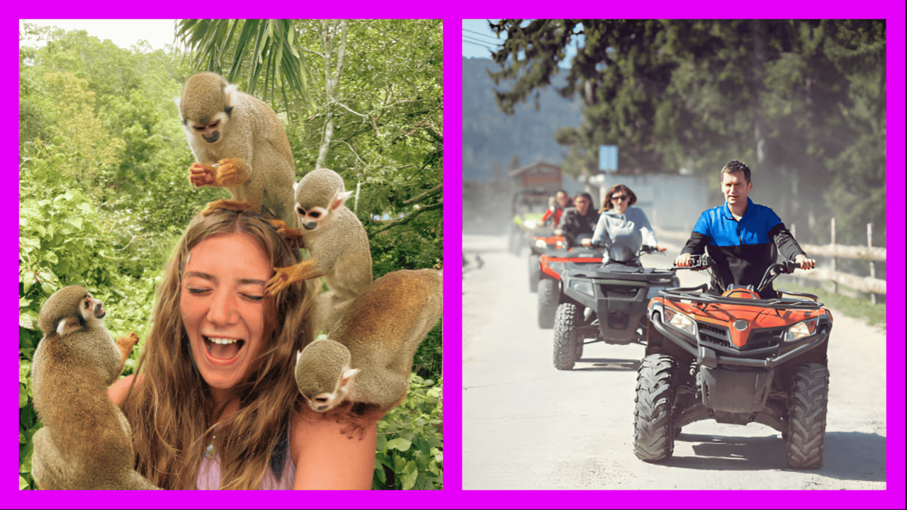 Begegnung mit Affen + ATV-Abenteuer – Puerto Plata