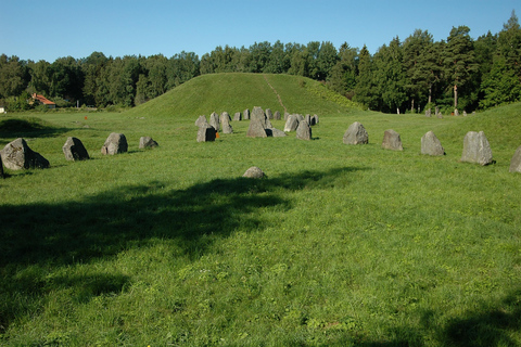 From Stockholm: Enköping, Petroglyphs and Viking 8h Day Tour Private tour - multiple languages possible