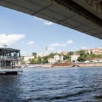 Belgrado: crociera turistica guidata, fiumi Danubio e Sava