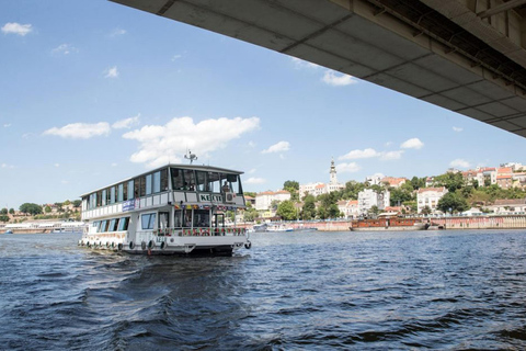 Belgrado: Crociera turistica guidata sui fiumi Danubio e Sava