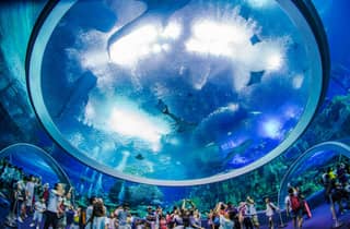 Zhuhai & Shenzhen: 4-tägige selbstgeführte Tour mit Tickets