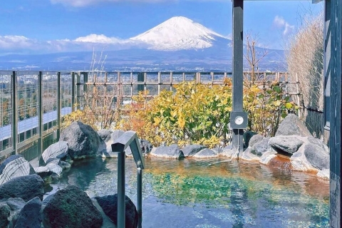 Tokio: Rund um Mt. Fuji, Ashi-See, Owakudani, Onsen 1-Tages-TourShinjuku-Treffpunkt 8:30 Uhr