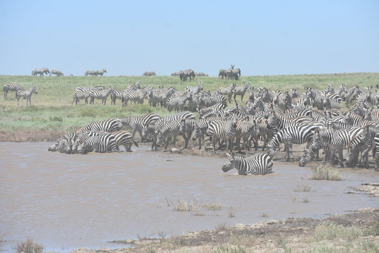 6 Dagen Het beste van Tanzania &amp; cultuur