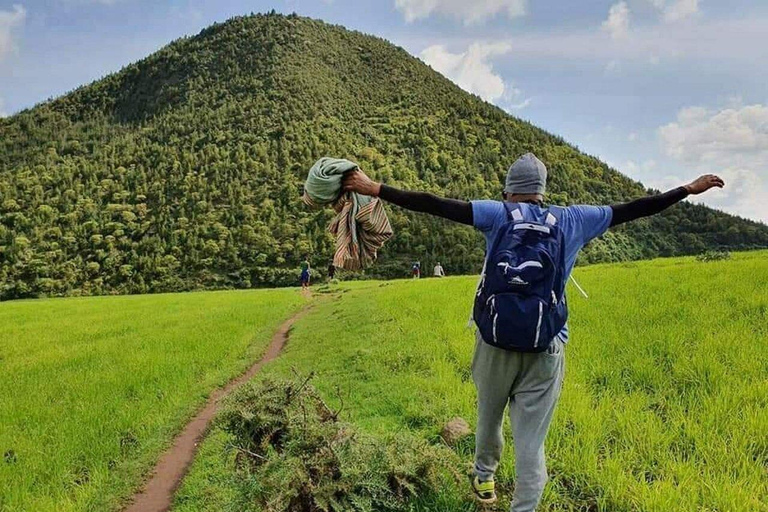 From Addis Ababa: Menagesha Suba Forest Hike with Picnic