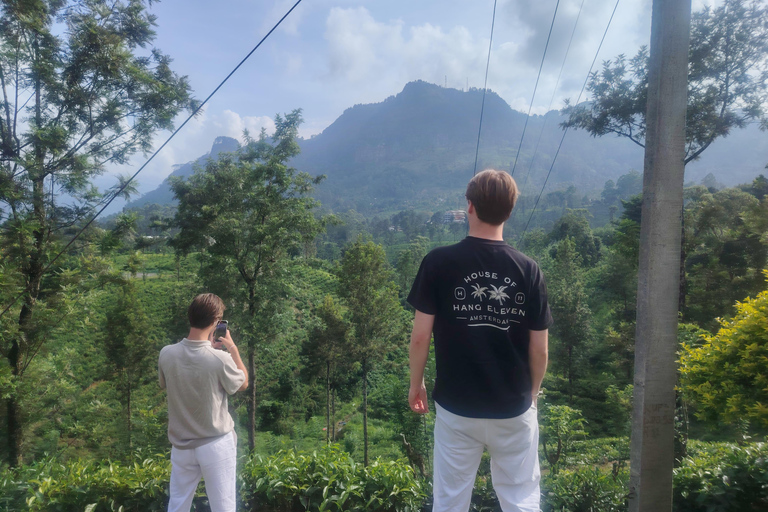 From Kandy: Nuwara Eliya Private Day Trip with Tea Factory