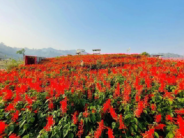 Chiang Mai: Hidden beautiful garden & Adventure Day