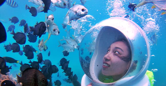 Phu Quoc: Underwater Exploration with Guided Sea Walking