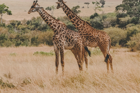 TANZANIA: 9-Day Safari Adventure in 5 National Parks!