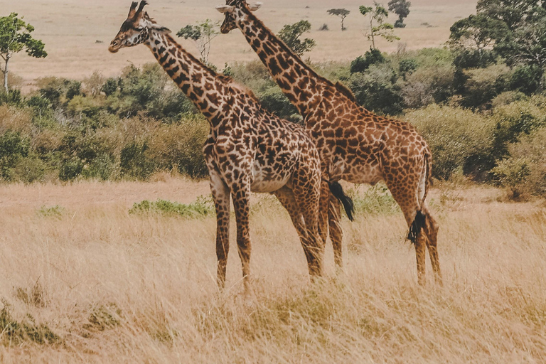 TANZANIA: 9-Day Safari Adventure in 5 National Parks!