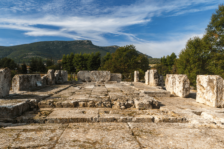 Visite privée de luxe : Sites antiques de Némée et dégustation de vin