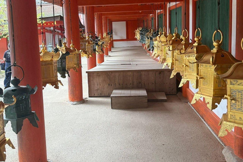 Nara: Kasuga Taisha Shrine Candlelight Tour with Drink