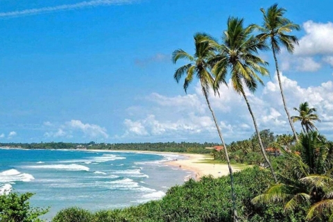 Colombo & Negombo Naar Galle/Hikkaduwa/Mirissa DagtourBezienswaardigheden in het zuiden van Sri Lanka vanuit Colombo & Negombo