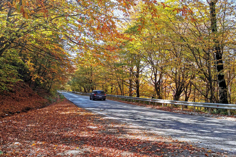 Tbilisi: Sabaduri Forest, Ananuri, Dariali, and Juta Tour