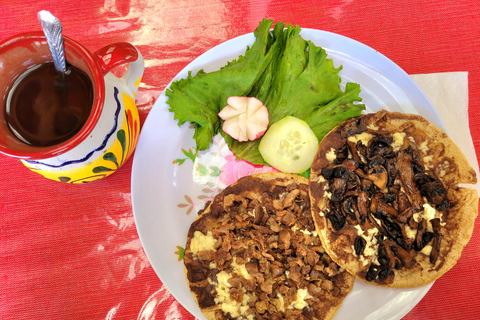 Oaxaca: Sierra Norte Ixtepeji Guided Hike & Lunch, Half-Day