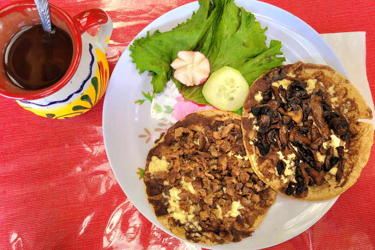 Oaxaca: Sierra Norte Ixtepeji Guided Hike & Lunch, Half-Day