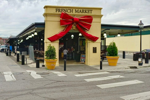 New Orleans: tour combinato Airboat Swamp &amp; City e KatrinaTour combinato piccolo idroscivolante, città e Katrina