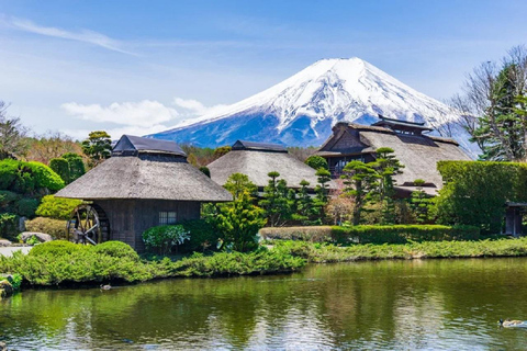 Mt.Fuji Dagtour: Arakura Park, Oshino Hakkai, Kawaguchi Meer8:00 uur Tokio station ophalen