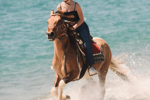Side: Horseback Riding Adventure with Hotel Pickup