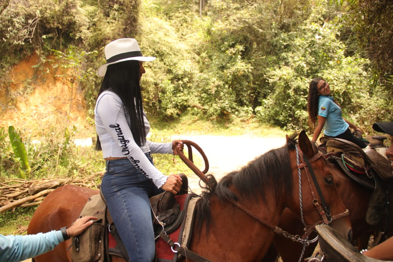 Paseos a Caballo por las Hermosas Montañas de Medellín