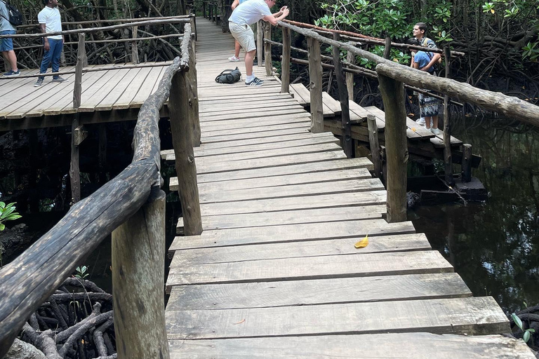 Zanzibar : visite de la forêt de Jozani pour les singes colubes rouges